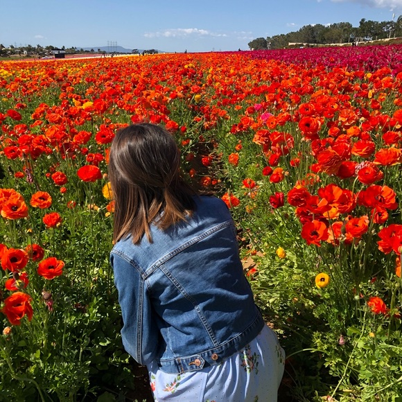 Meet your Posher, Taylor - Picture 1 of 1